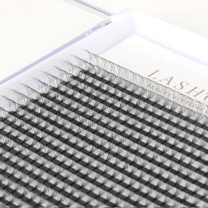 10D Premade Volume Fans (Small Trays)