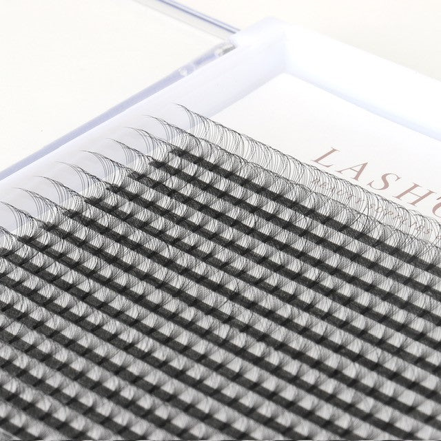 10D Premade Volume Fans (Small Trays)