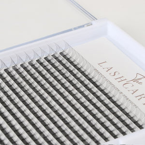 4D Premade Volume Fans (XXL Trays)