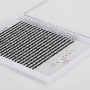6D Premade Volume Fans (XXL Trays)