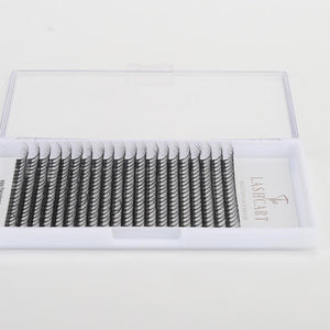 6D Premade Volume Fans (XXL Trays)