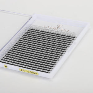 6D Premade Volume Fans (XXL Trays)