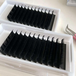 Single Size Faux Mink Lash Trays D-Curl - The Lash Cart